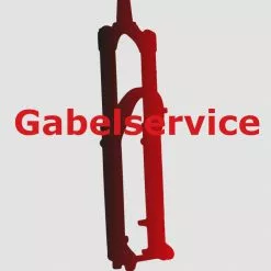 FOX 36 Federgabelservice