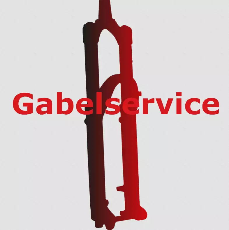 FOX 34 Federgabelservice 1 FOX 34 Federgabelservice